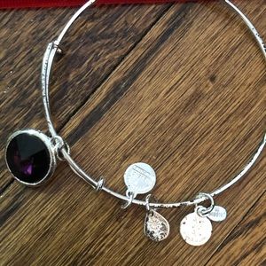 Alex and ani amethyst February birth stone